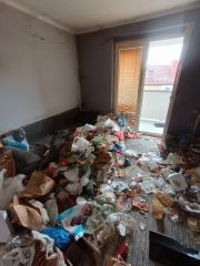 IMG_20251111_105826163_HDR