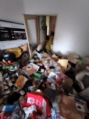 IMG_20251219_115323208